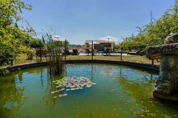 bassin -jardin